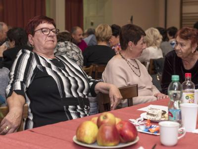 Beseda s občany důchodového věku (93)