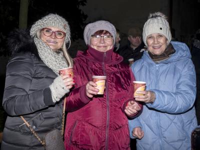 Rozsvěcení vánočního stromku (49)